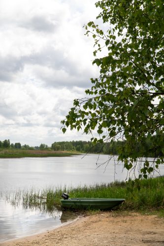 _DSC8547