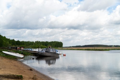 _DSC8552