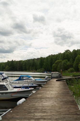 _DSC8593